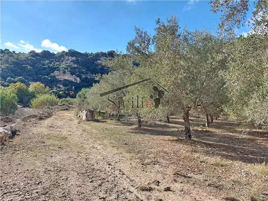 Immagine 1 di Rustico / casale in vendita  a Ragusa