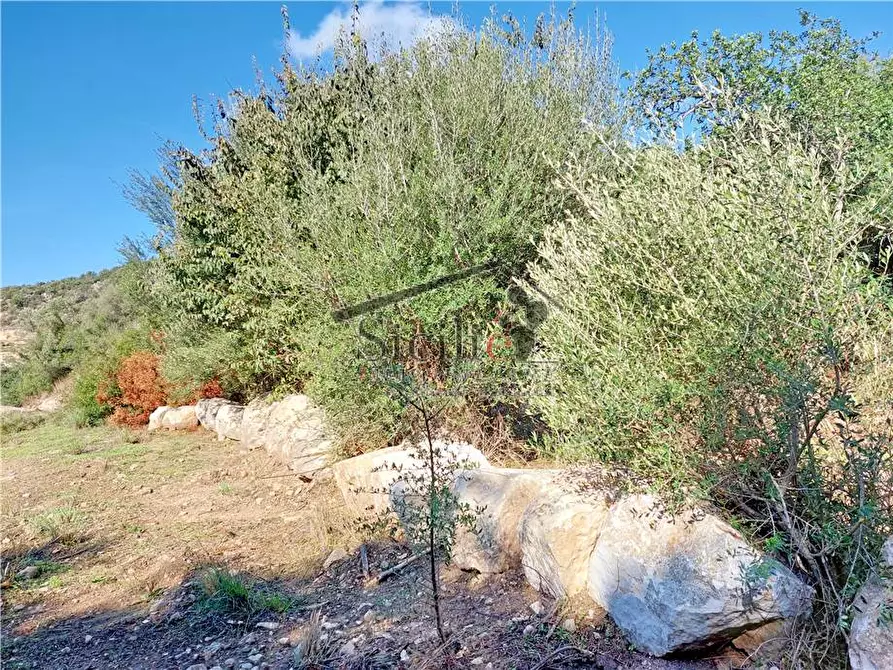 Immagine 14 di Rustico / casale in vendita  a Ragusa