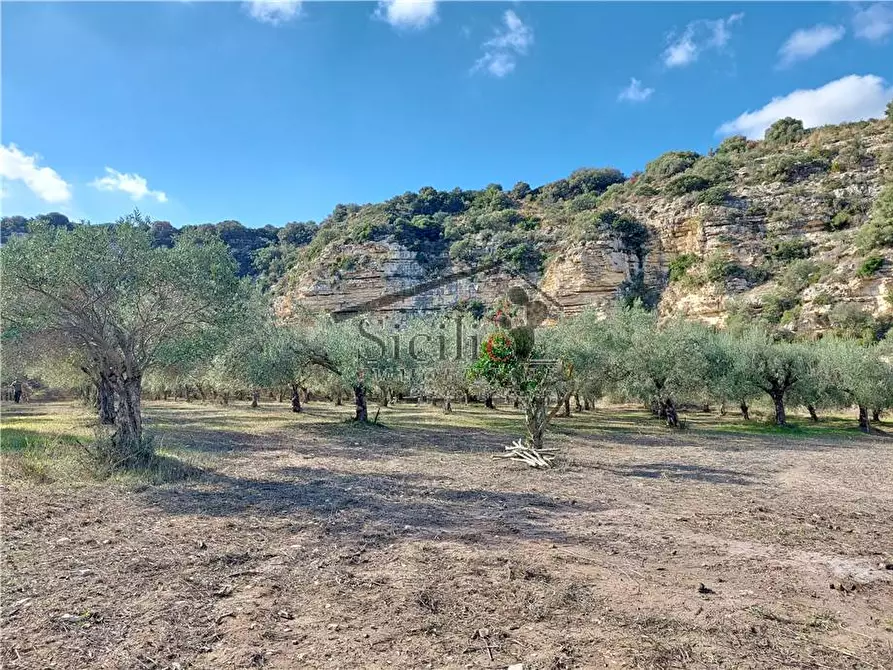 Immagine 15 di Rustico / casale in vendita  a Ragusa