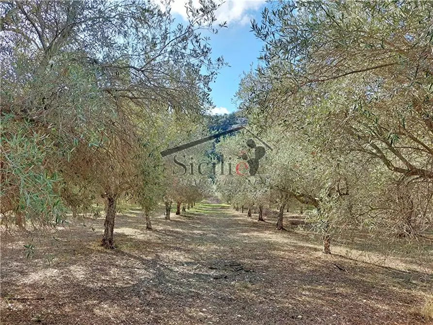 Immagine 2 di Rustico / casale in vendita  a Ragusa