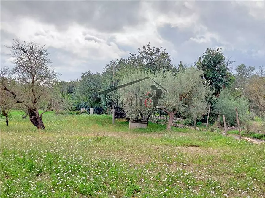 Immagine 11 di Rustico / casale in vendita  a Scicli