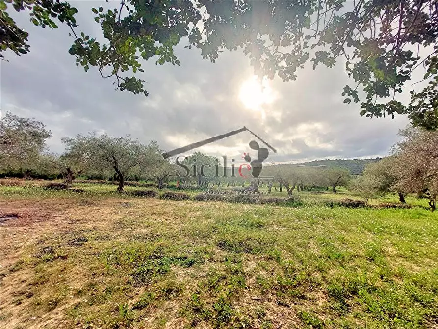 Immagine 12 di Rustico / casale in vendita  a Scicli