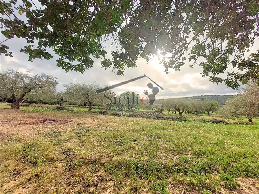 Immagine 13 di Rustico / casale in vendita  a Scicli