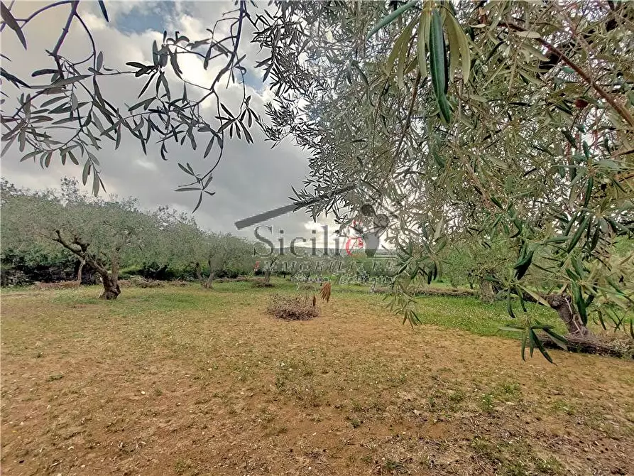 Immagine 14 di Rustico / casale in vendita  a Scicli