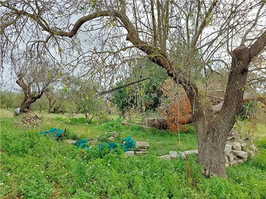 Immagine 15 di Rustico / casale in vendita  a Scicli
