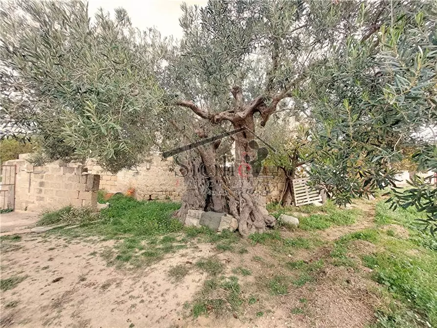 Immagine 9 di Rustico / casale in vendita  a Scicli