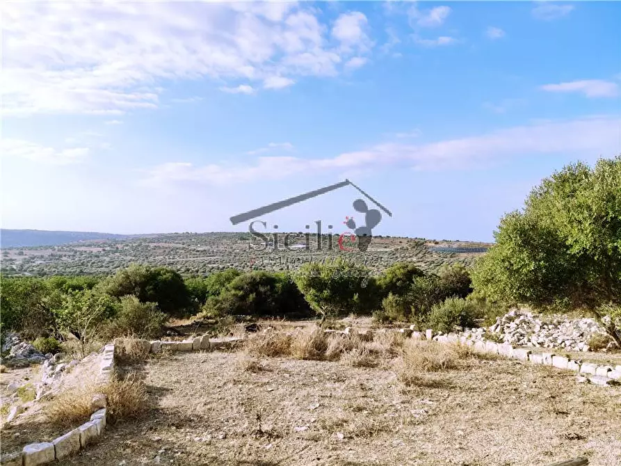 Immagine 4 di Villa in vendita  a Scicli