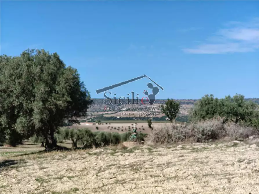 Immagine 10 di Terreno in vendita  a Scicli