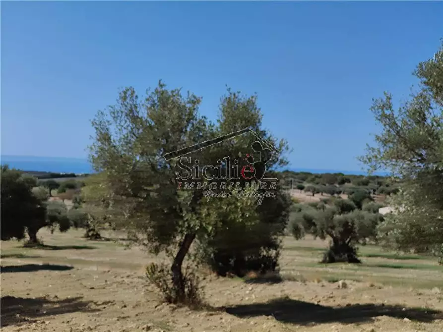 Immagine 11 di Terreno in vendita  a Scicli