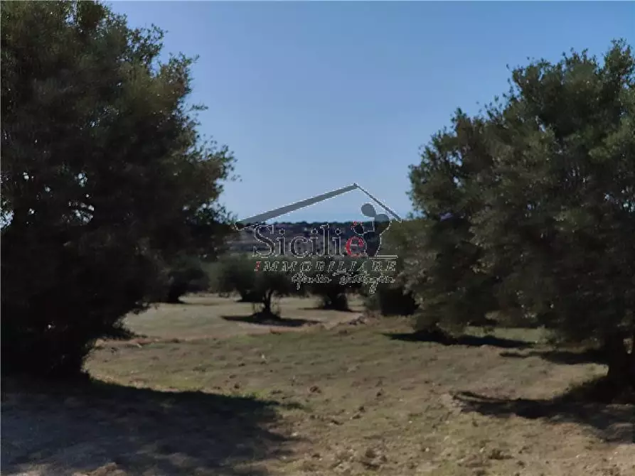 Immagine 12 di Terreno in vendita  a Scicli