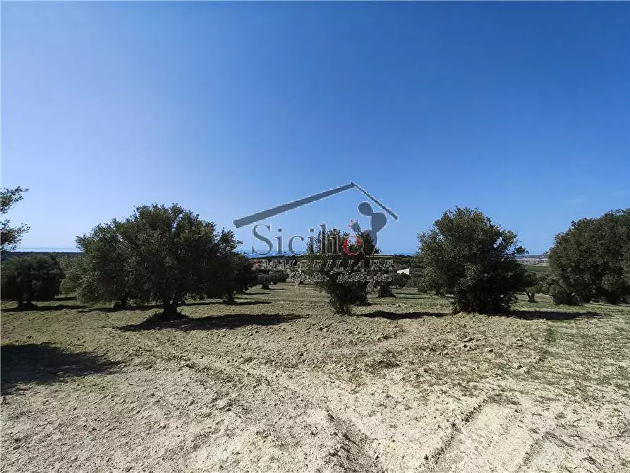 Immagine 13 di Terreno in vendita  a Scicli