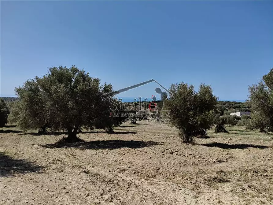 Immagine 14 di Terreno in vendita  a Scicli