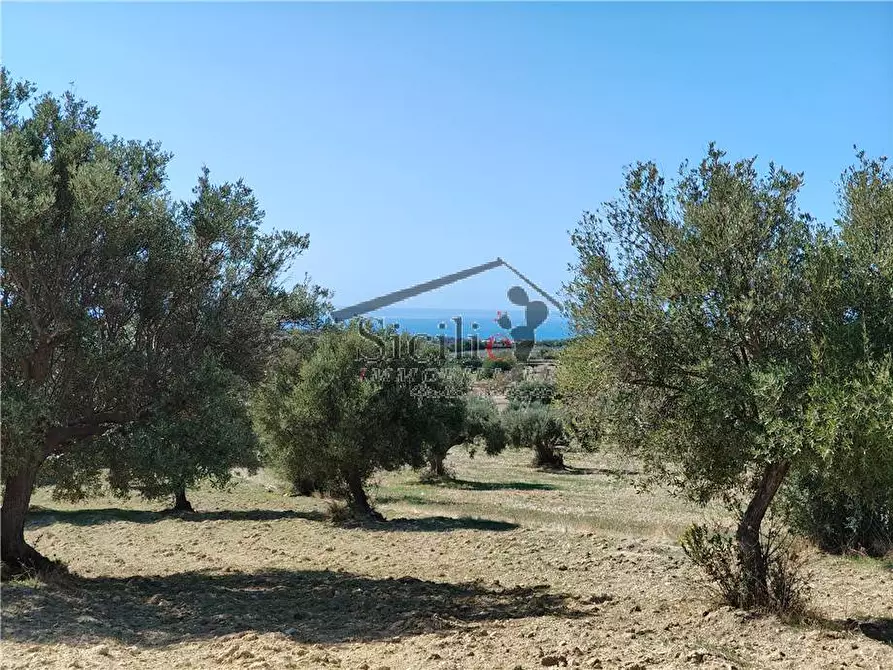 Immagine 2 di Terreno in vendita  a Scicli