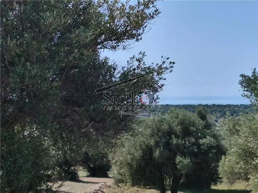 Immagine 3 di Terreno in vendita  a Scicli