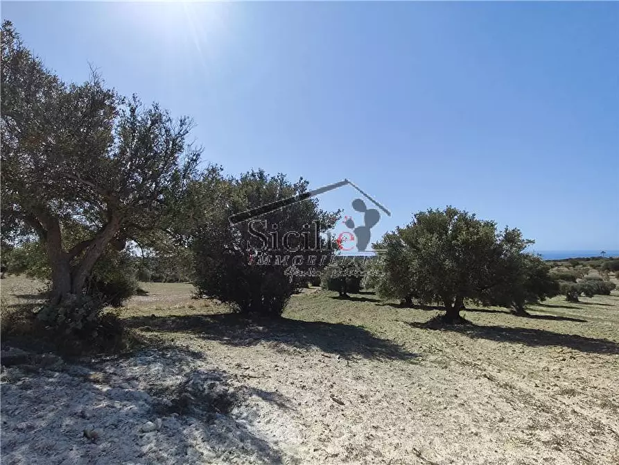 Immagine 5 di Terreno in vendita  a Scicli