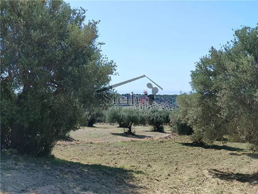 Immagine 6 di Terreno in vendita  a Scicli