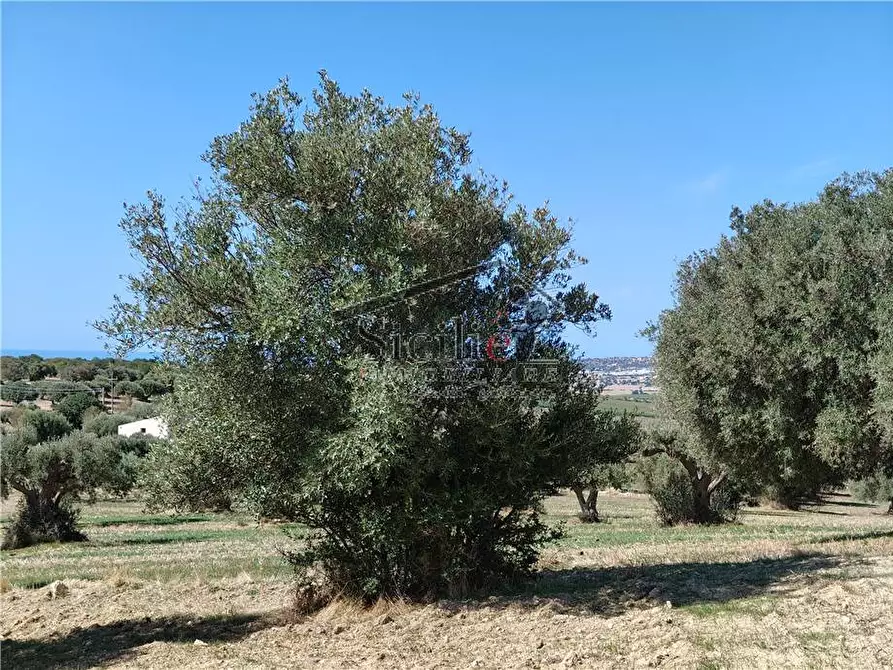Immagine 8 di Terreno in vendita  a Scicli