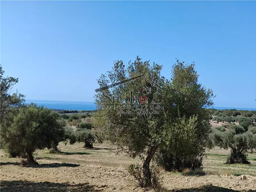 Immagine 9 di Terreno in vendita  a Scicli