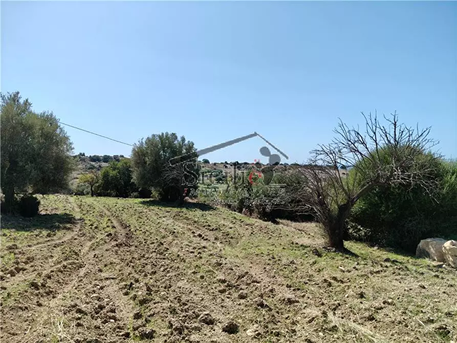 Immagine 13 di Terreno in vendita  a Scicli