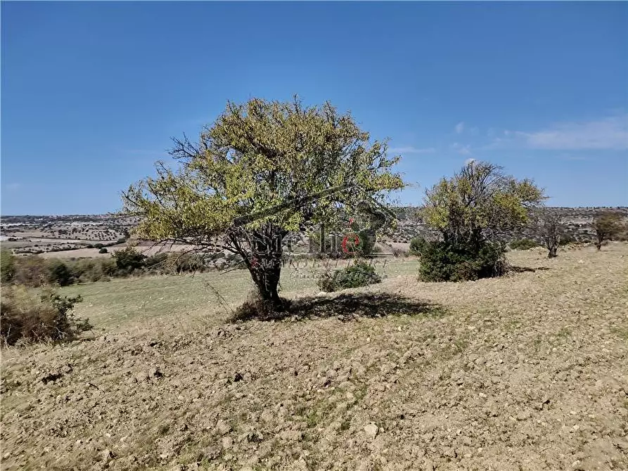 Immagine 2 di Terreno in vendita  a Scicli