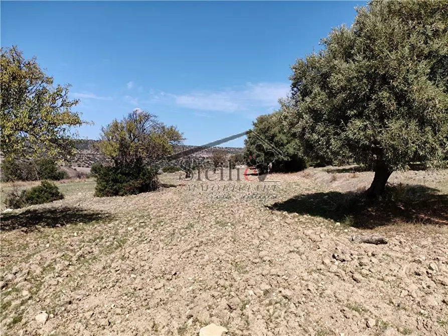 Immagine 3 di Terreno in vendita  a Scicli