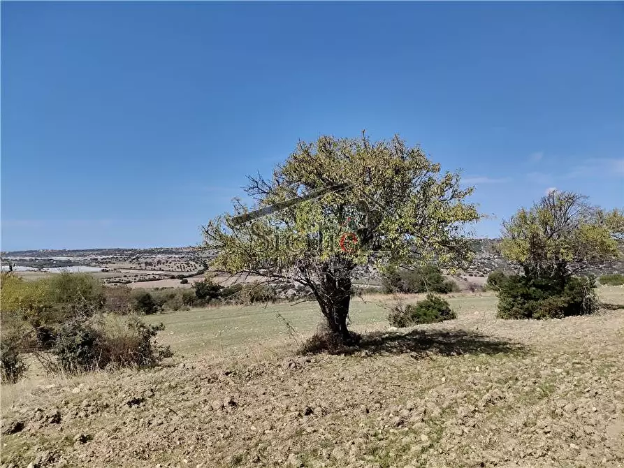 Immagine 5 di Terreno in vendita  a Scicli
