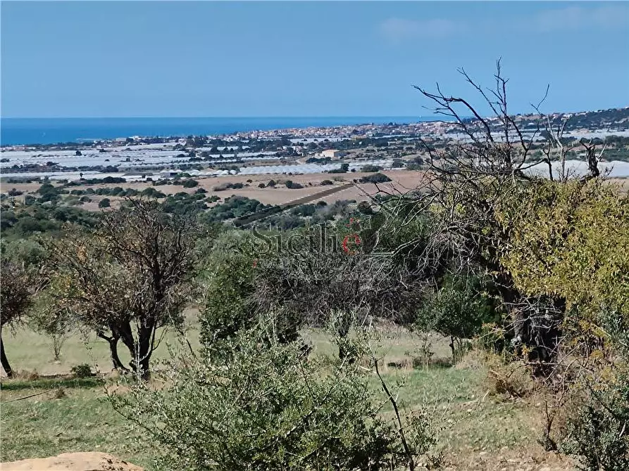 Immagine 6 di Terreno in vendita  a Scicli
