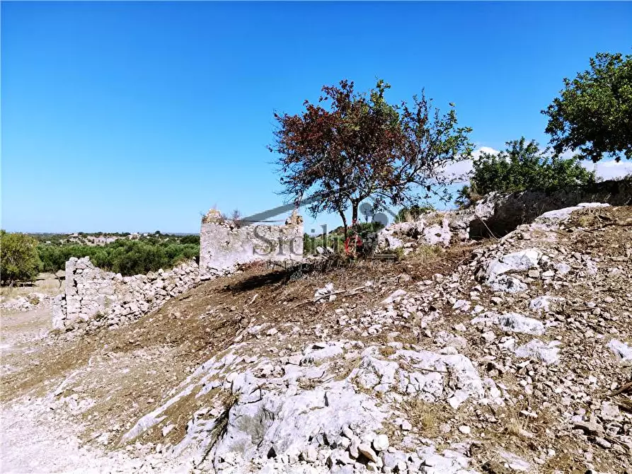 Immagine 4 di Villa in vendita  a Scicli