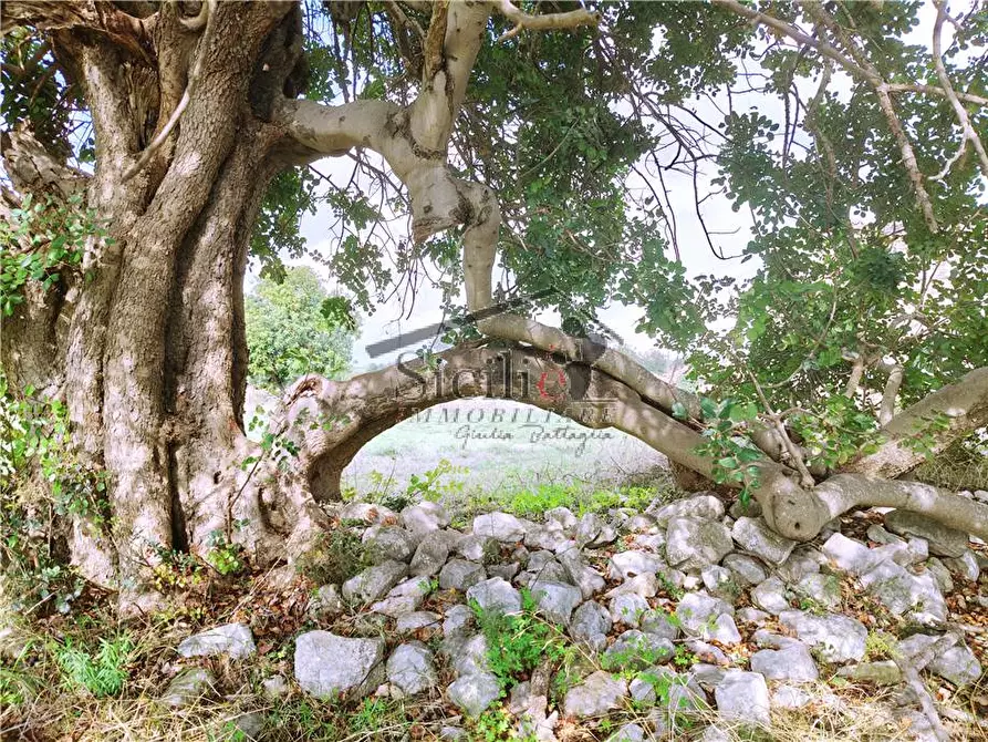 Immagine 5 di Villa in vendita  a Scicli