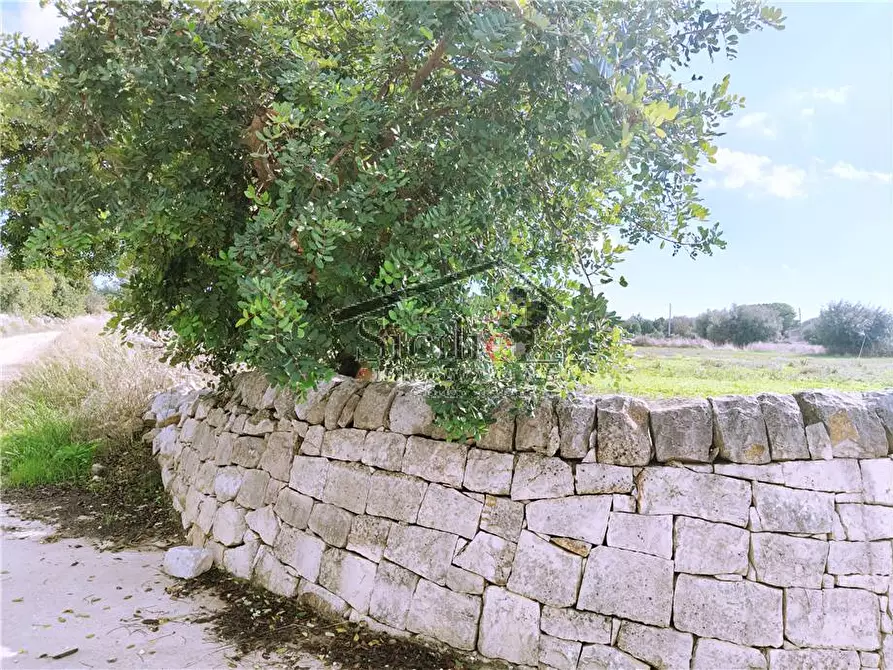 Immagine 14 di Villa in vendita  a Scicli