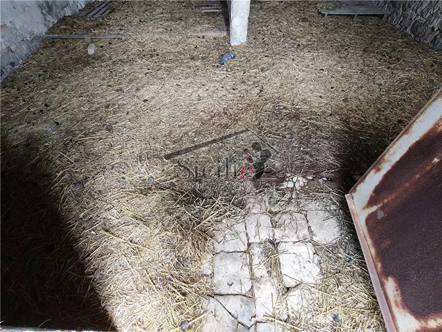 Immagine 6 di Villa in vendita  a Scicli