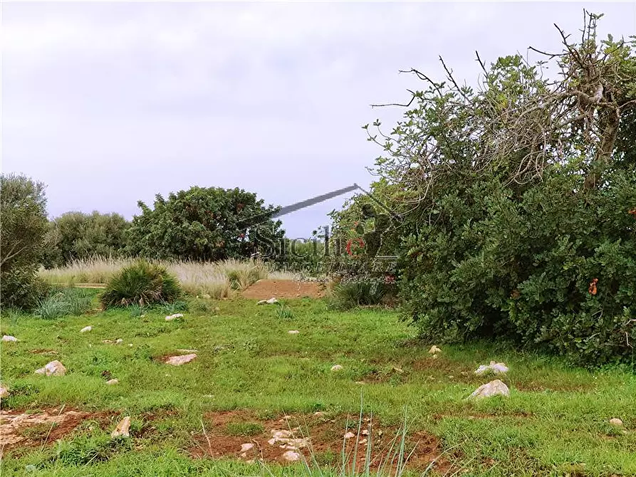 Immagine 4 di Terreno in vendita  a Scicli