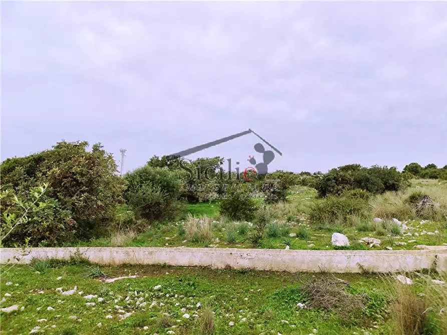 Immagine 5 di Terreno in vendita  a Scicli