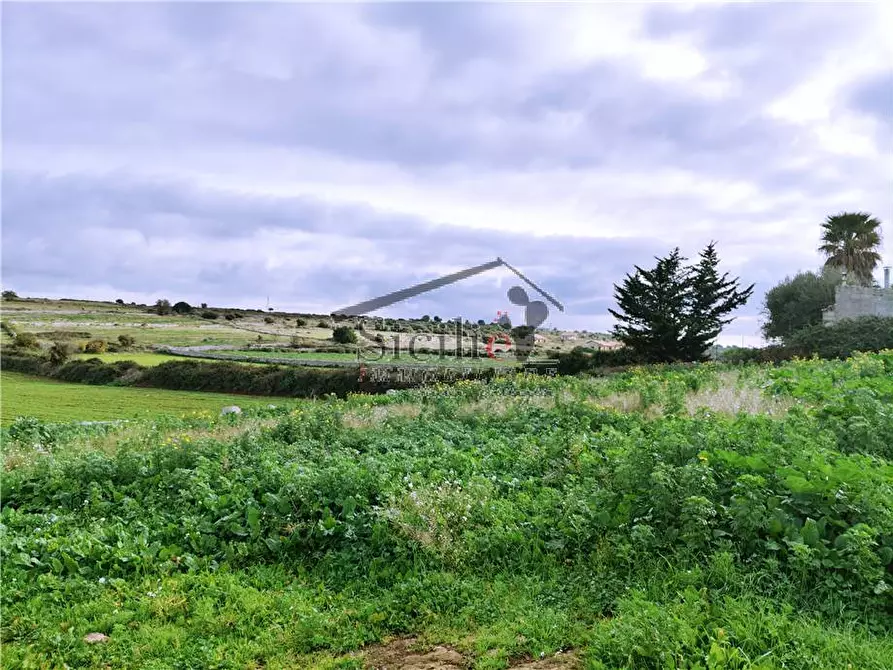 Immagine 10 di Villa in vendita  a Scicli