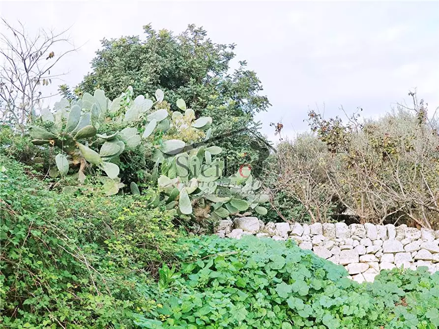 Immagine 11 di Villa in vendita  a Scicli