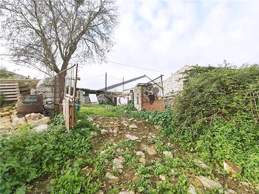 Immagine 13 di Villa in vendita  a Scicli