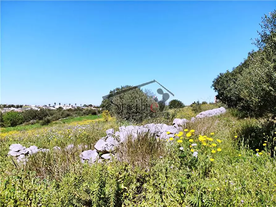 Immagine 15 di Villa in vendita  a Modica