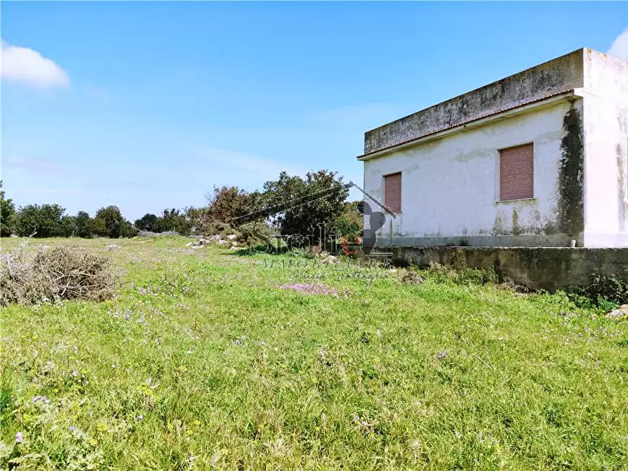 Immagine 10 di Villa in vendita  a Scicli