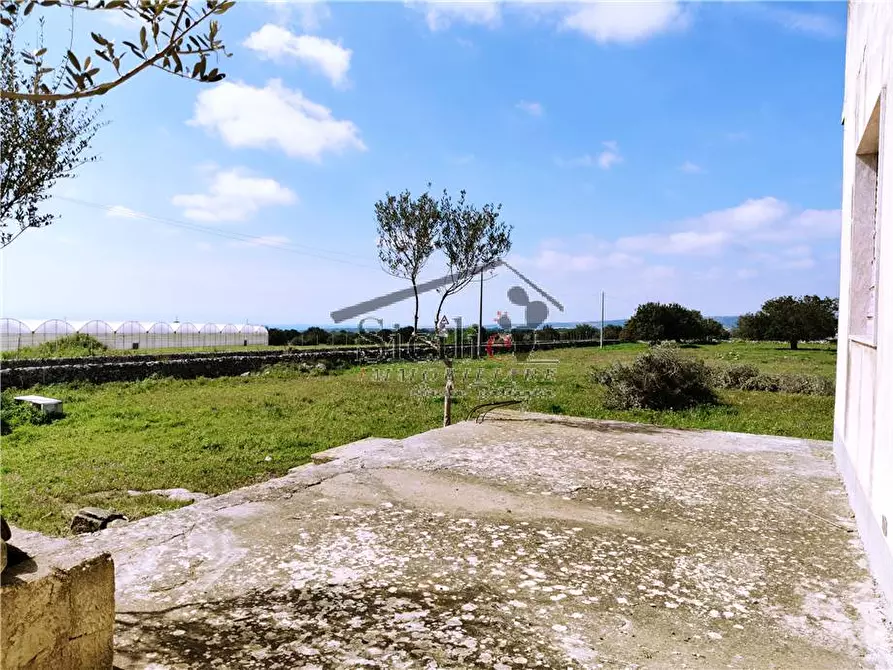 Immagine 4 di Villa in vendita  a Scicli