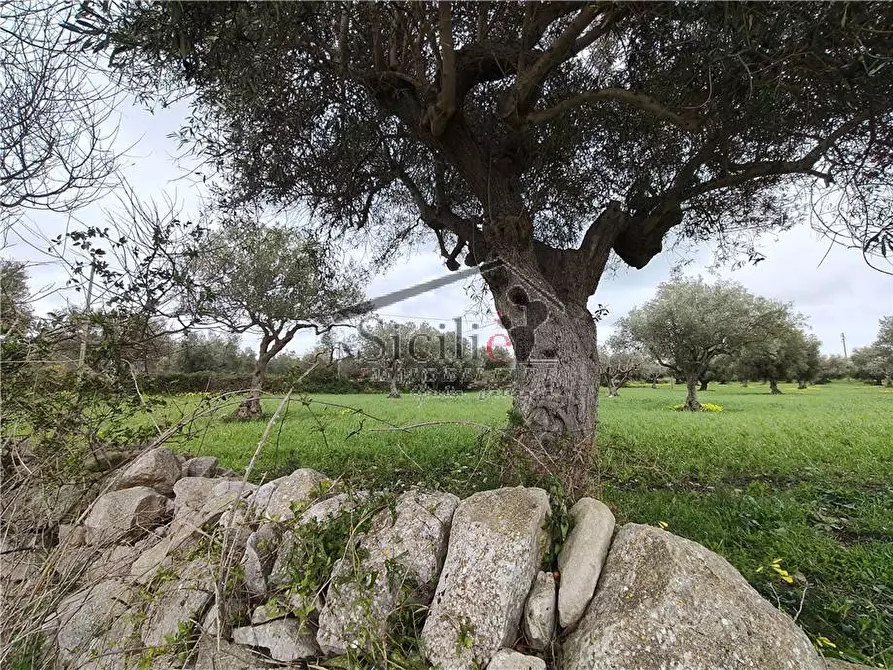 Immagine 1 di Terreno in vendita  a Scicli