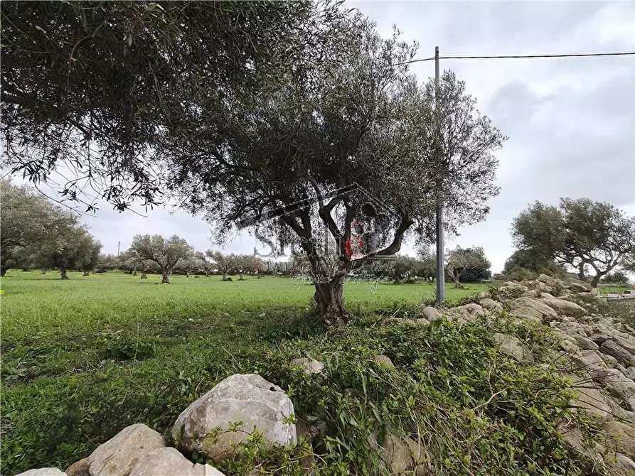 Immagine 3 di Terreno in vendita  a Scicli