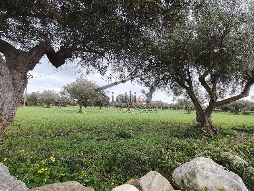 Immagine 5 di Terreno in vendita  a Scicli