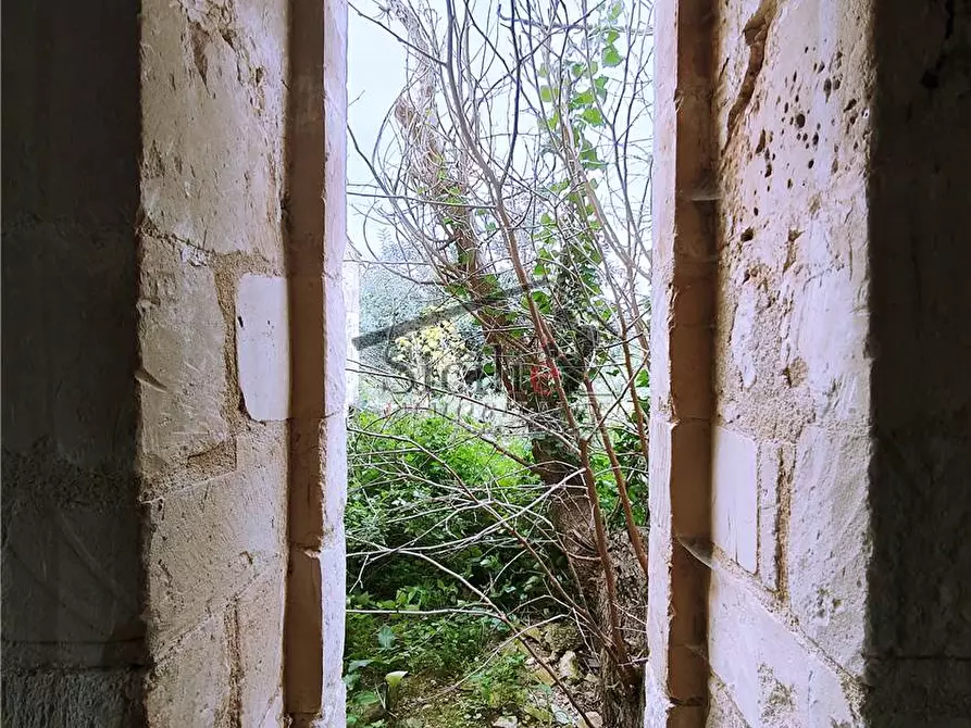 Immagine 9 di Villa in vendita  a Scicli