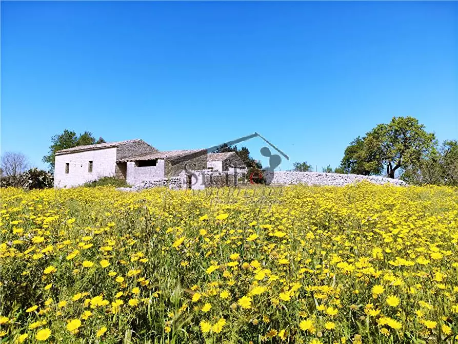 Immagine 3 di Villa in vendita  a Modica