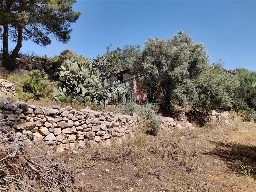 Immagine 11 di Terreno in vendita  a Scicli