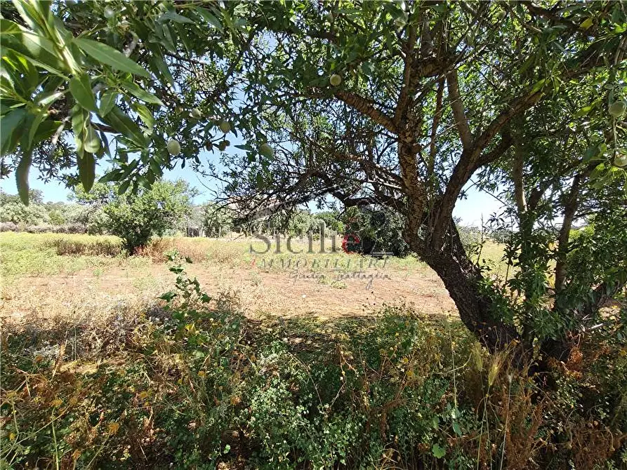 Immagine 12 di Terreno in vendita  a Scicli