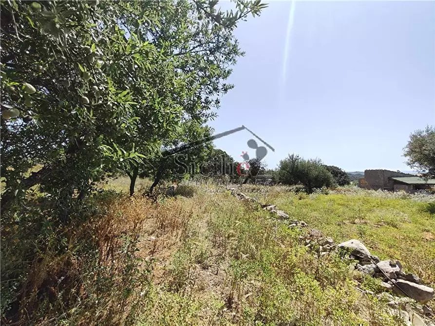 Immagine 13 di Terreno in vendita  a Scicli