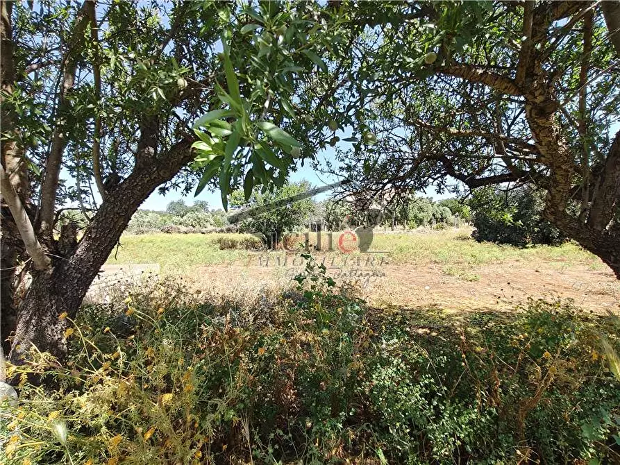 Immagine 14 di Terreno in vendita  a Scicli