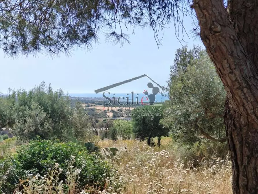 Immagine 4 di Terreno in vendita  a Scicli