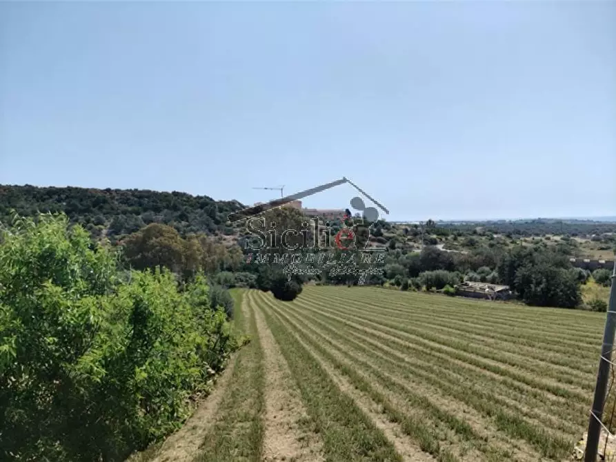 Immagine 6 di Terreno in vendita  a Scicli
